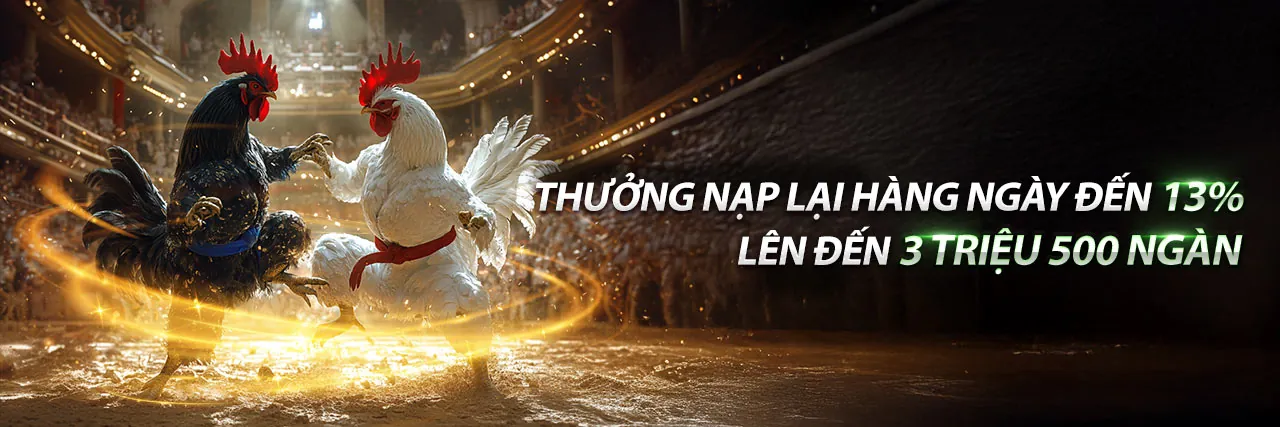Hoàn Trả Hàng Ngày Usbet