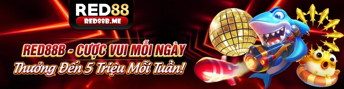Biểu đồ lợi ích hoàn trả Usbet